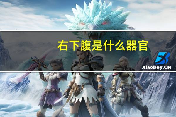 右下腹是什么器官（左下腹是什么器官）