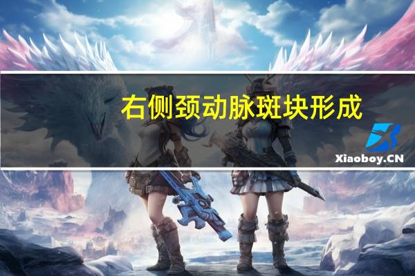 右侧颈动脉斑块形成（双侧颈动脉斑块形成10mmx2 8）