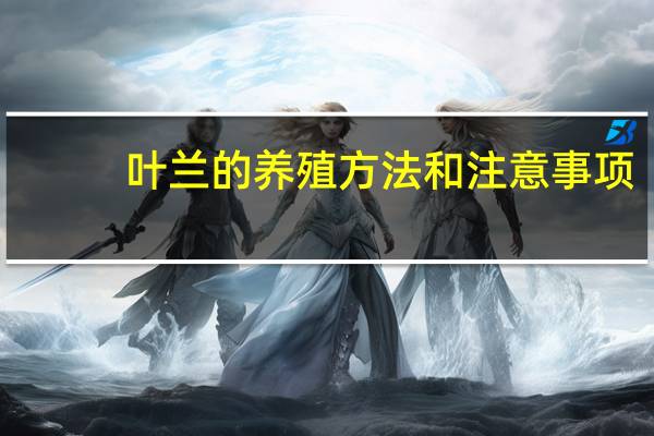 叶兰的养殖方法和注意事项