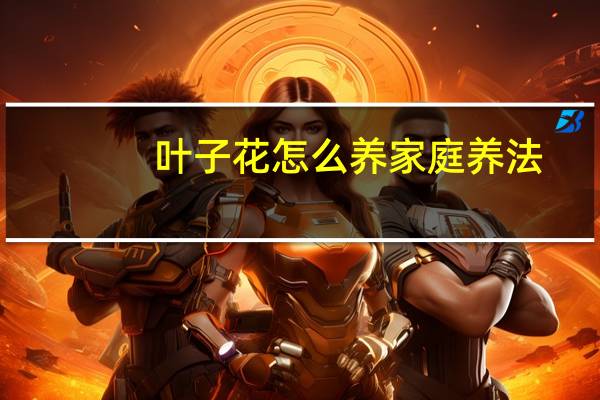 叶子花怎么养家庭养法