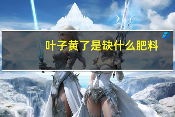 叶子黄了是缺什么肥料