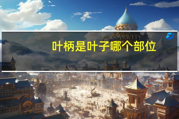 叶柄是叶子哪个部位