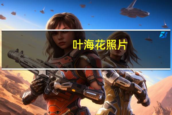 叶海花照片（叶海花）