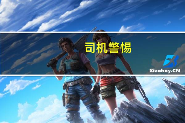 司机警惕：收到“冒犯性”车牌警告，或面临高达1000英镑的罚款