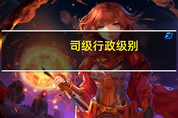 司级行政级别（司级）