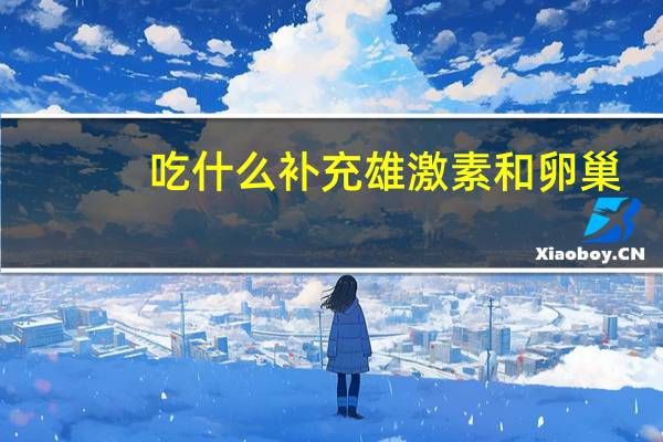 吃什么补充雄激素和卵巢（吃什么补充雄性激素）