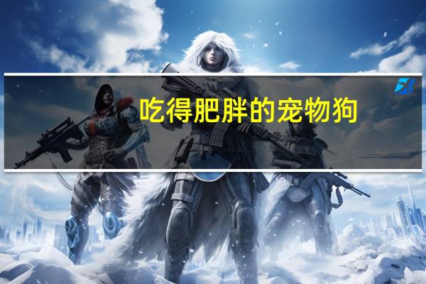 吃得肥胖的宠物狗