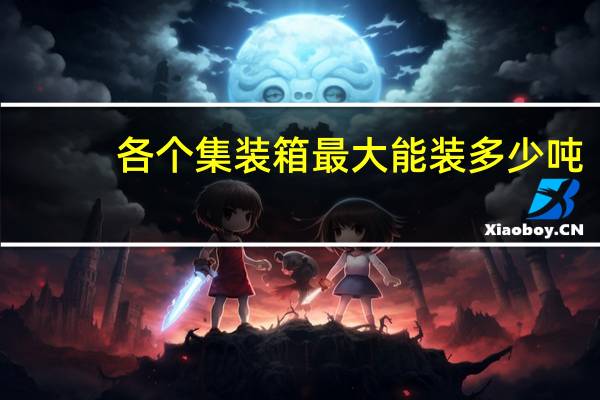 各个集装箱最大能装多少吨