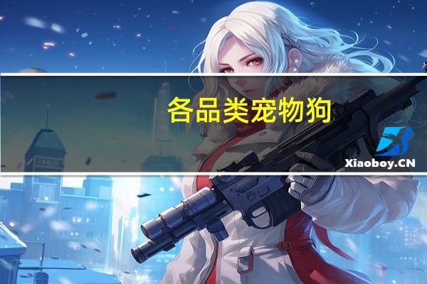 各品类宠物狗