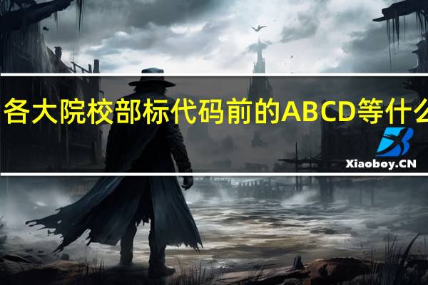 各大院校部标代码前的ABCD等什么意思