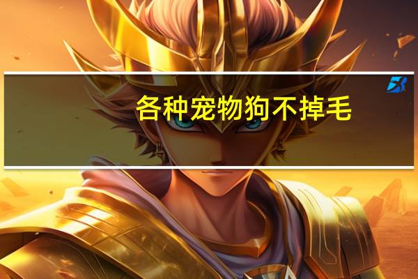 各种宠物狗不掉毛