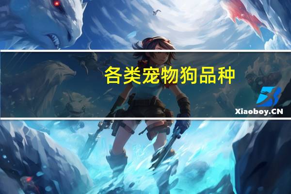各类宠物狗品种