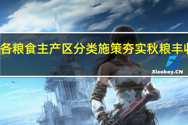 各粮食主产区分类施策夯实秋粮丰收基础