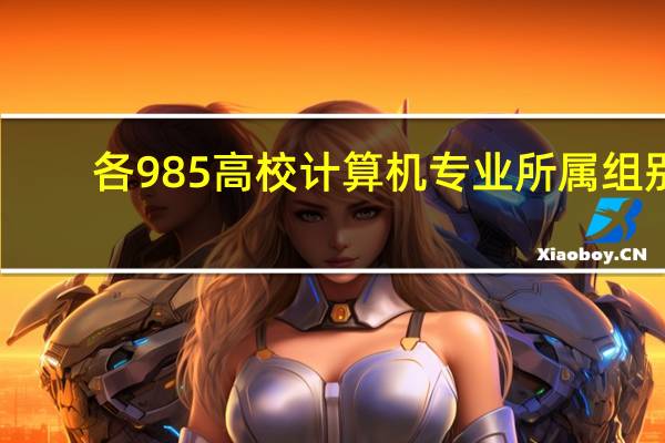 各985高校计算机专业所属组别