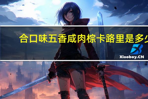 合口味 五香咸肉棕卡路里是多少