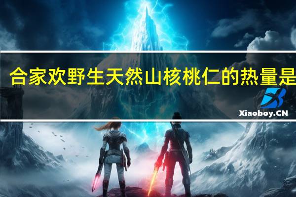合家欢 野生天然山核桃仁的热量是多少