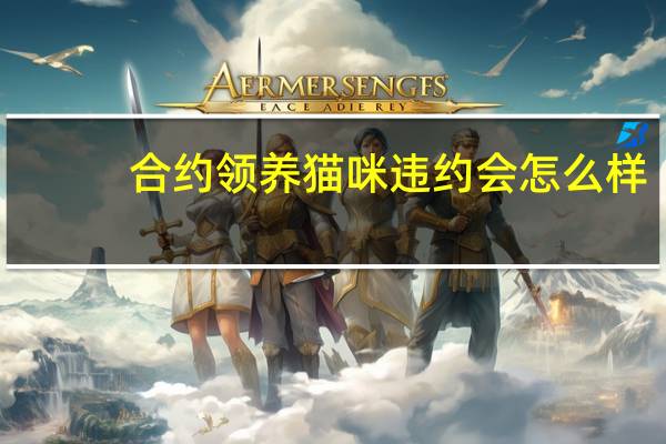 合约领养猫咪违约会怎么样