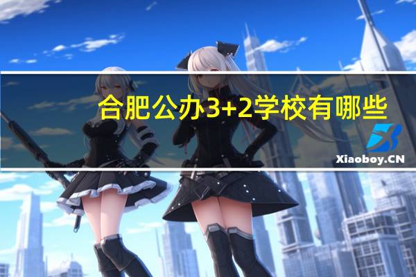 合肥公办3+2学校有哪些