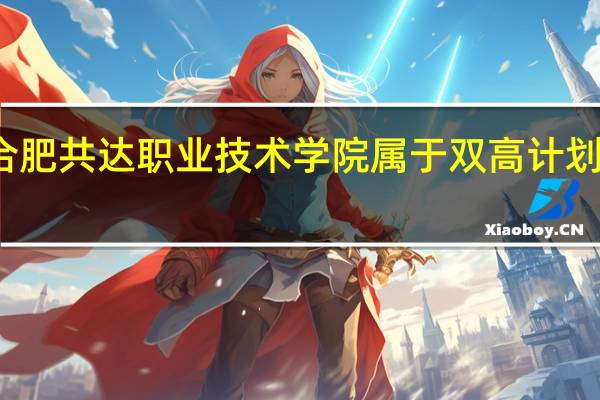 合肥共达职业技术学院属于双高计划院校吗