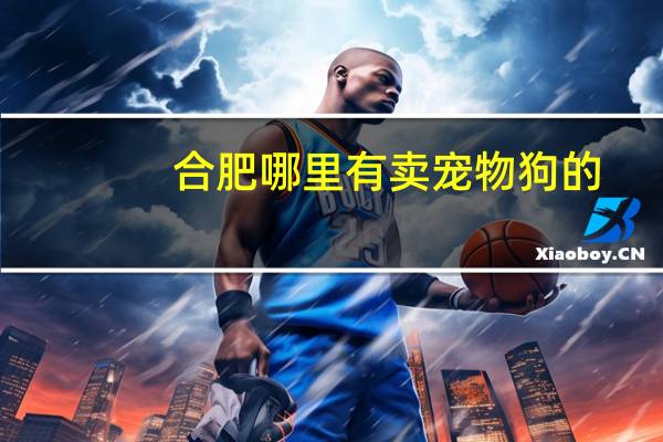 合肥哪里有卖宠物狗的