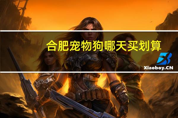 合肥宠物狗哪天买划算