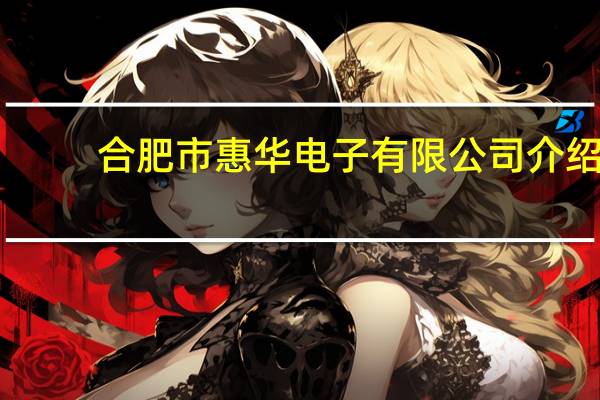 合肥市惠华电子有限公司介绍