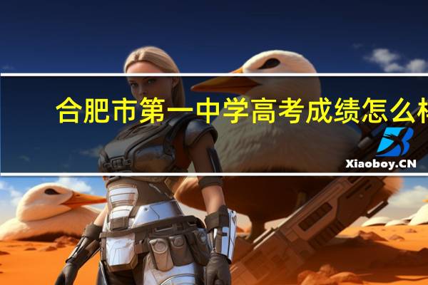 合肥市第一中学高考成绩怎么样