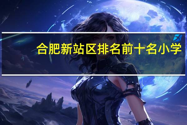 合肥新站区排名前十名小学