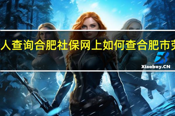合肥社保个人查询合肥社保网上如何查 合肥市劳动和社会保障局