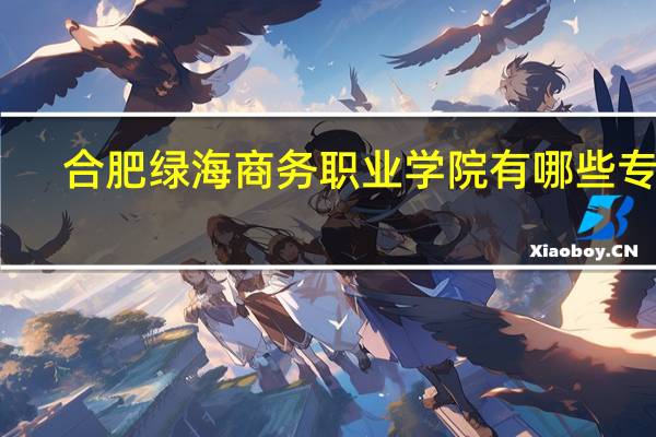 合肥绿海商务职业学院有哪些专业
