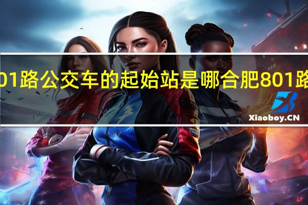 合肥801路公交车的起始站是哪 合肥801路公交车路线