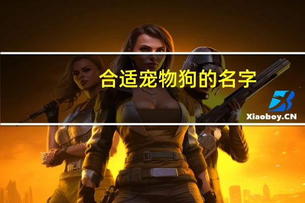 合适宠物狗的名字