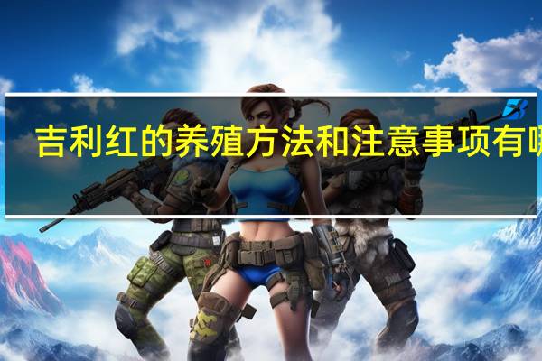 吉利红的养殖方法和注意事项有哪些