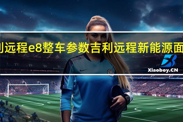吉利远程e8整车参数 吉利远程新能源面包车价格