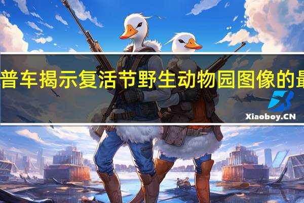 吉普车揭示复活节野生动物园图像的最终成果