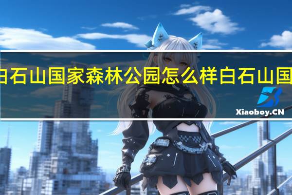 吉林白石山国家森林公园怎么样 白石山国家地质公园