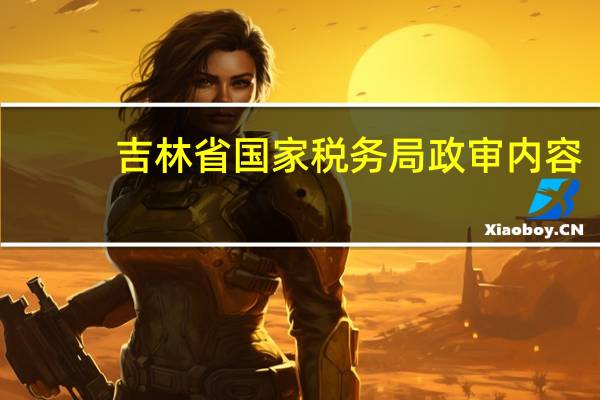 吉林省国家税务局政审内容
