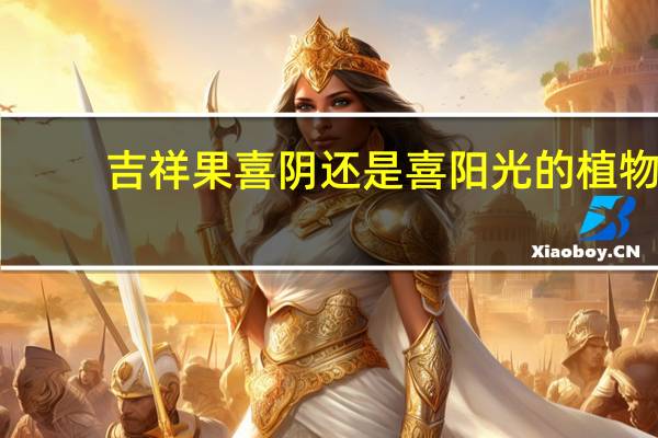 吉祥果喜阴还是喜阳光的植物