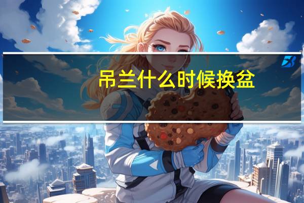 吊兰什么时候换盆