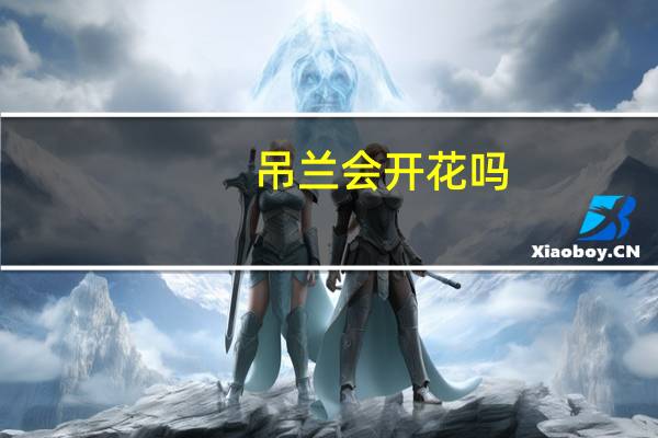 吊兰会开花吗,吊兰开花的寓意是什么
