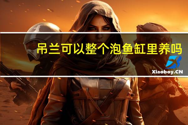 吊兰可以整个泡鱼缸里养吗