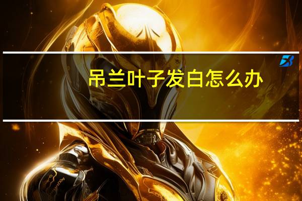 吊兰叶子发白怎么办
