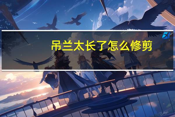 吊兰太长了怎么修剪