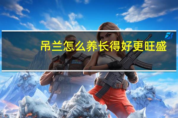 吊兰怎么养长得好更旺盛