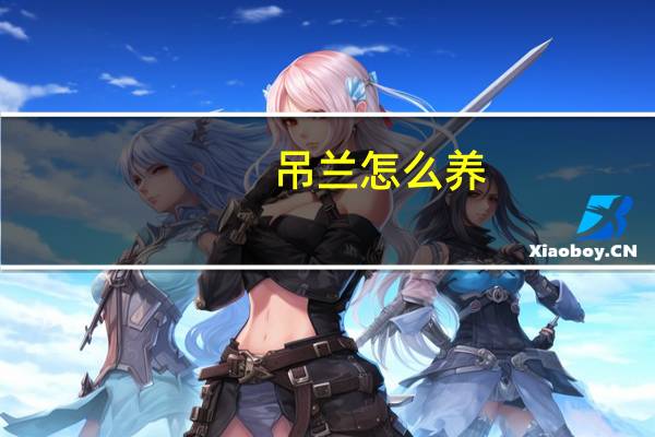 吊兰怎么养