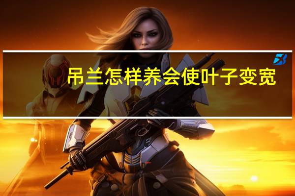 吊兰怎样养会使叶子变宽：给予最理想的生长环境吊兰叶子才会长的宽