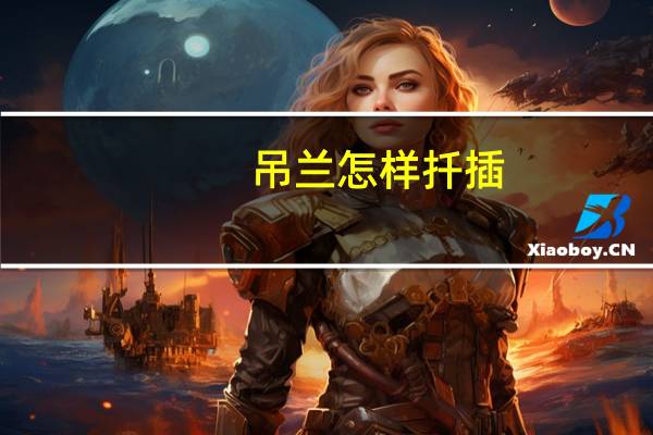 吊兰怎样扦插