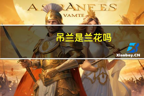吊兰是兰花吗