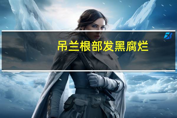 吊兰根部发黑腐烂