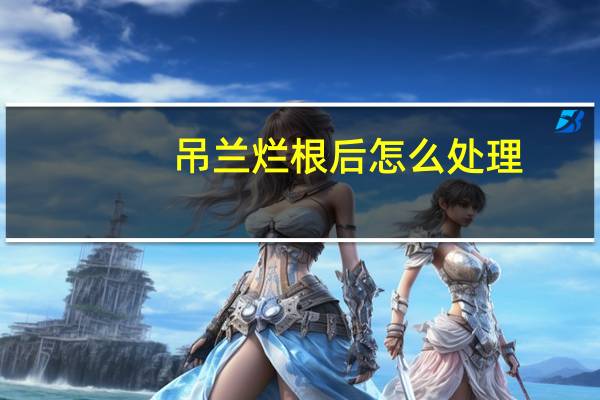 吊兰烂根后怎么处理